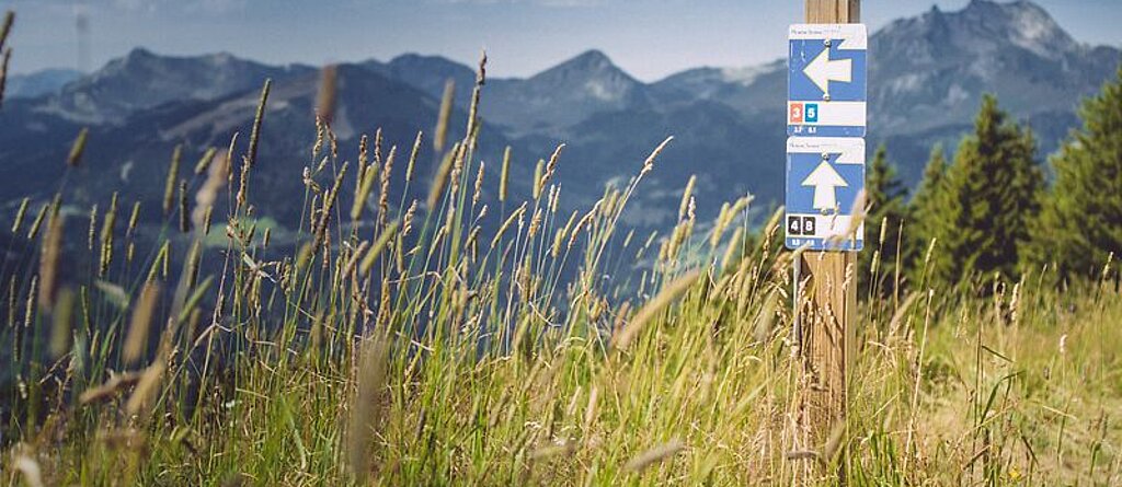 Blick von einem Berg in die Ferne.