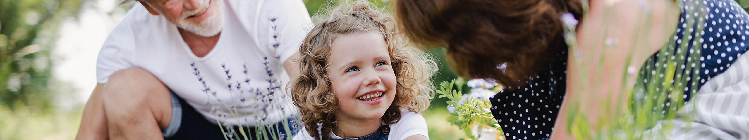 Großeltern pflanzen gemeinsam mit Enkelin etwas im Garten ein.