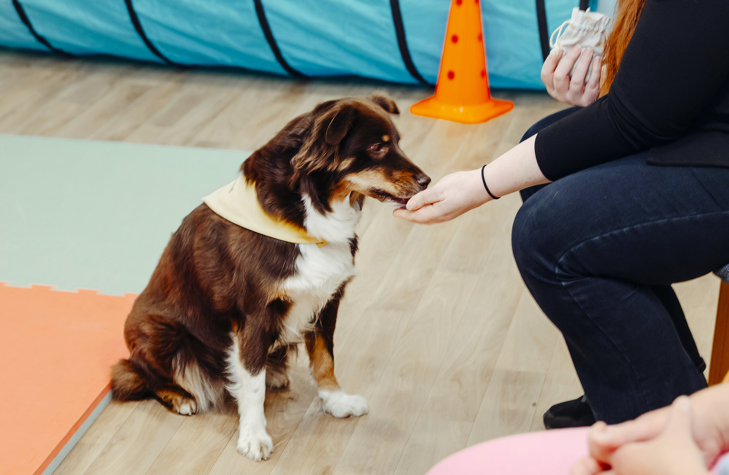 Hund Fay bei der Therapie.