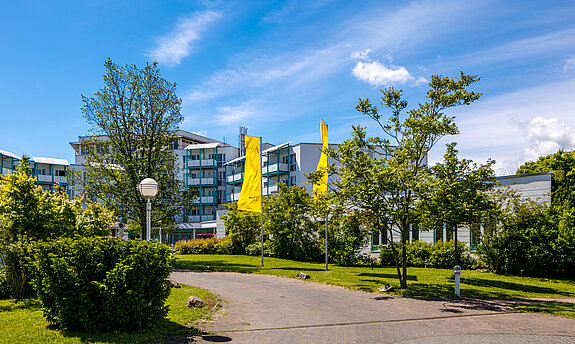 Das Bild zeigt einen gepflasterten Gehweg, der zur Rehabilitationsklinik Bad Salzelmen hinführt.