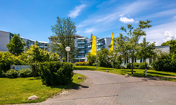 Das Bild zeigt einen gepflasterten Gehweg, der zur Rehabilitationsklinik Bad Salzelmen hinführt.