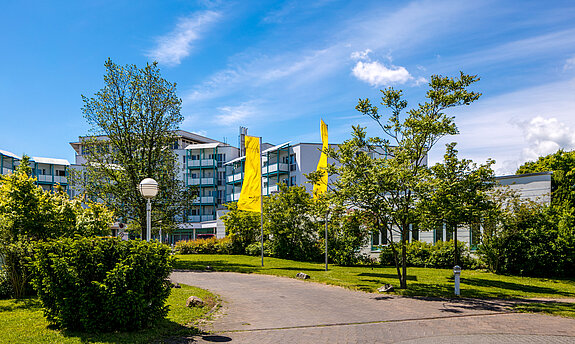 Das Bild zeigt einen gepflasterten Gehweg, der zur Rehabilitationsklinik Bad Salzelmen hinführt.