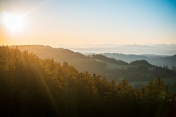 Fernsicht auf die Allgäuer Landschaft.