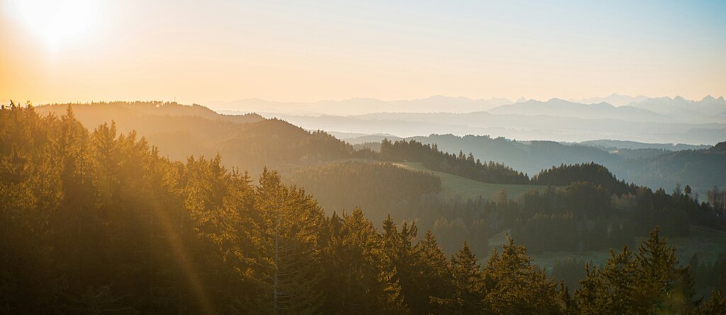 Fernsicht auf die Allgäuer Landschaft.
