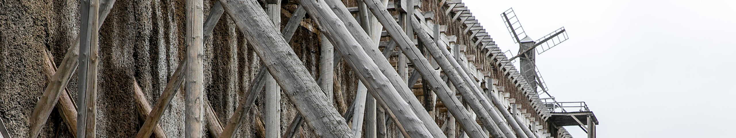 Das Bild zeigt einen Ausschnitt des Gradierwerkes Bad Salzelmen.