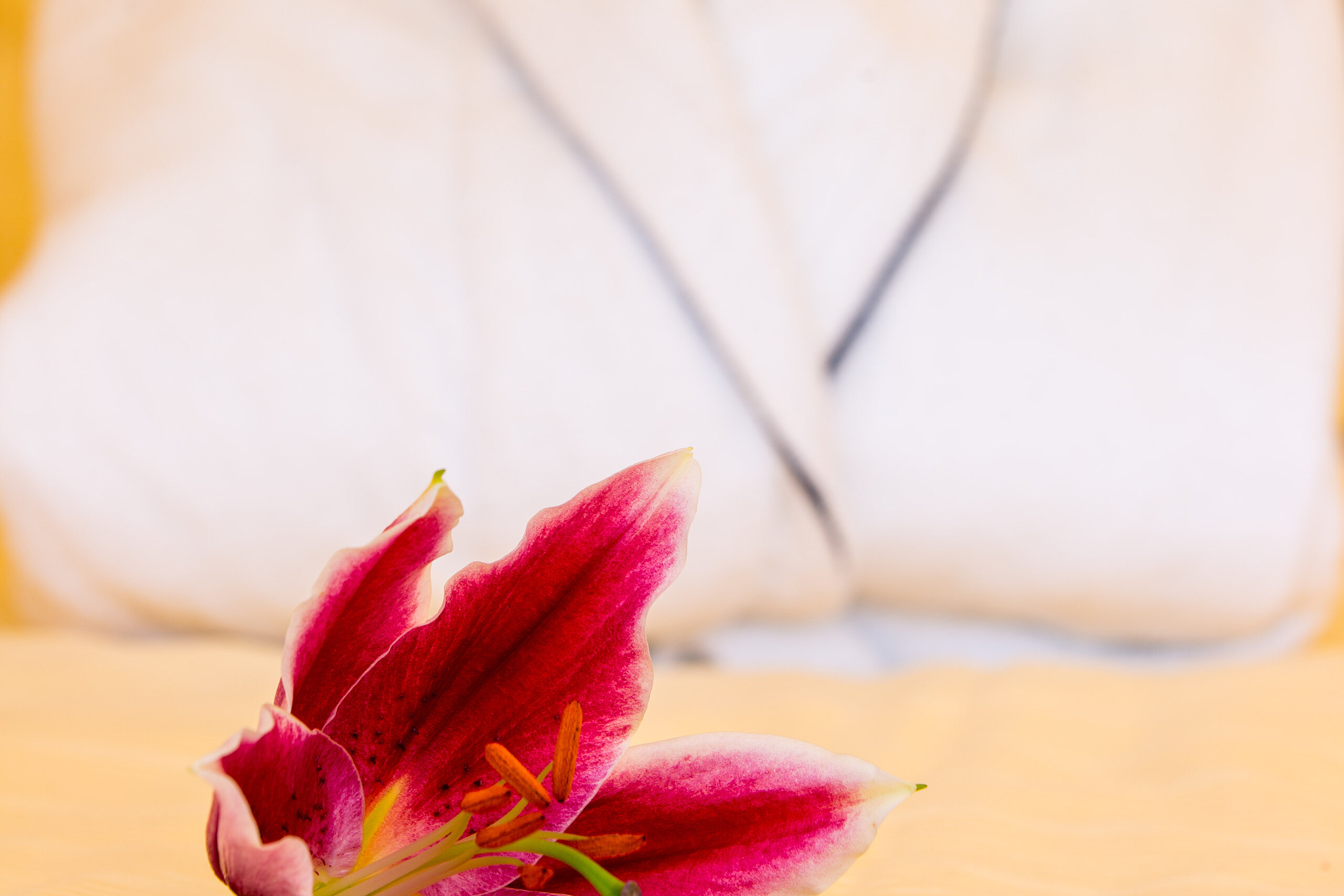 Ein weißer Bademantel liegt dekorativ auf einem Bett, im Vordergrund eine pinkfarbene Blume – Symbol für Wohlfühlatmosphäre und Entspannung.