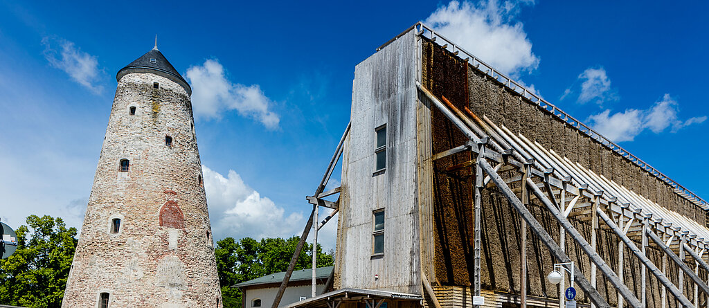 Das Bild zeigt den Soleturm und das Gradierwerk Bad Salzelmen.