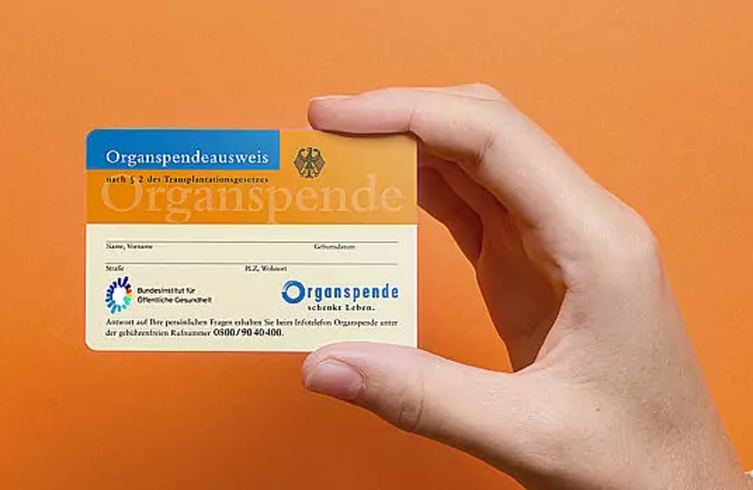 Ein Organspendeausweis wird in der Hand gehalten.