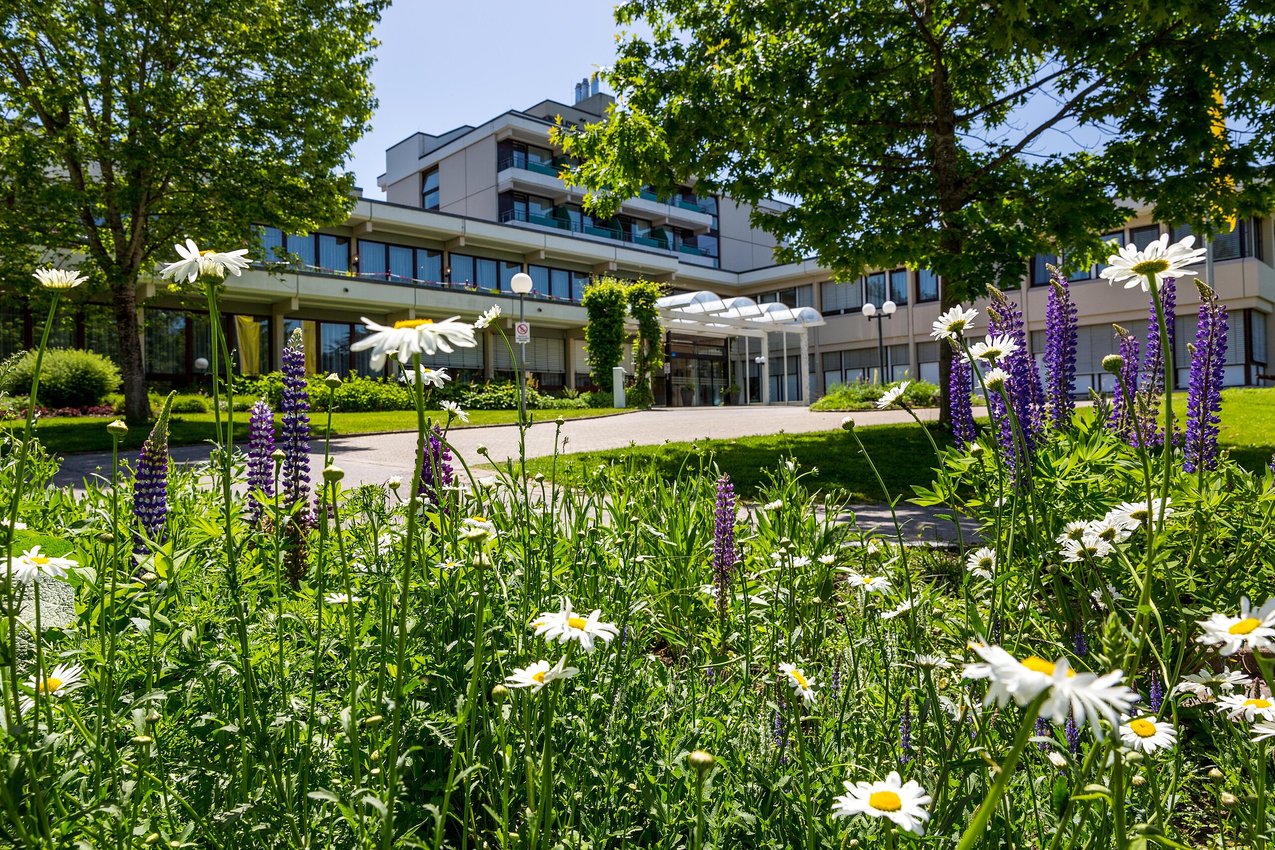 Vorderansicht der Klinik Argental