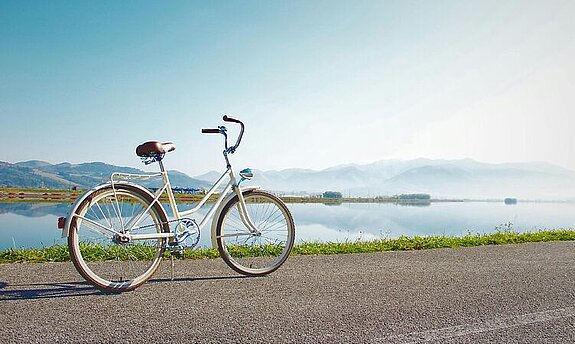 Ein Fahrrad steht geparkt an einem See.