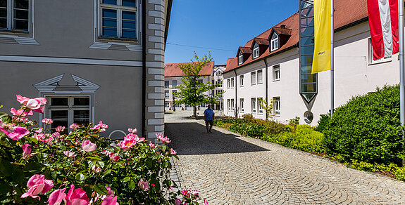 Zugang zur Klinik im Hofgarten mit gepflastertem Weg, Blumenbeeten und Gebäuden mit Fahnen an der Fassade