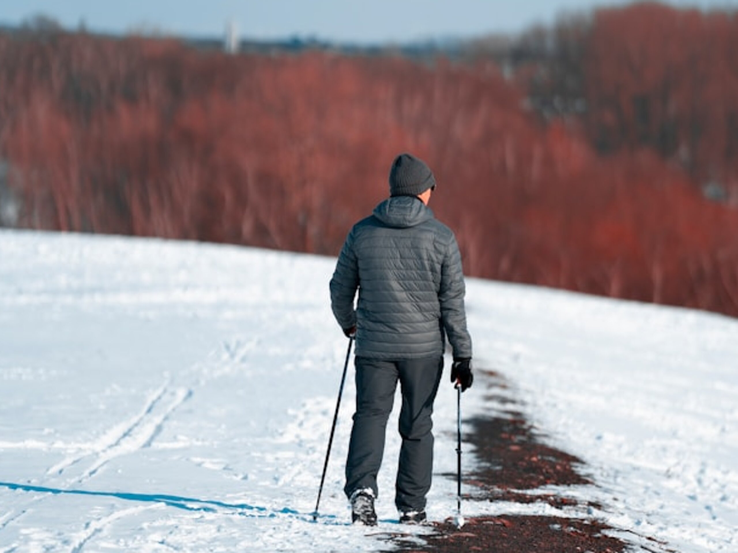 Ein Mann läuft mit Walkingstöcken einen verschneiten Feldweg entlang, im Hintergrund sind rotfarbene Bäume zu erkennen.
