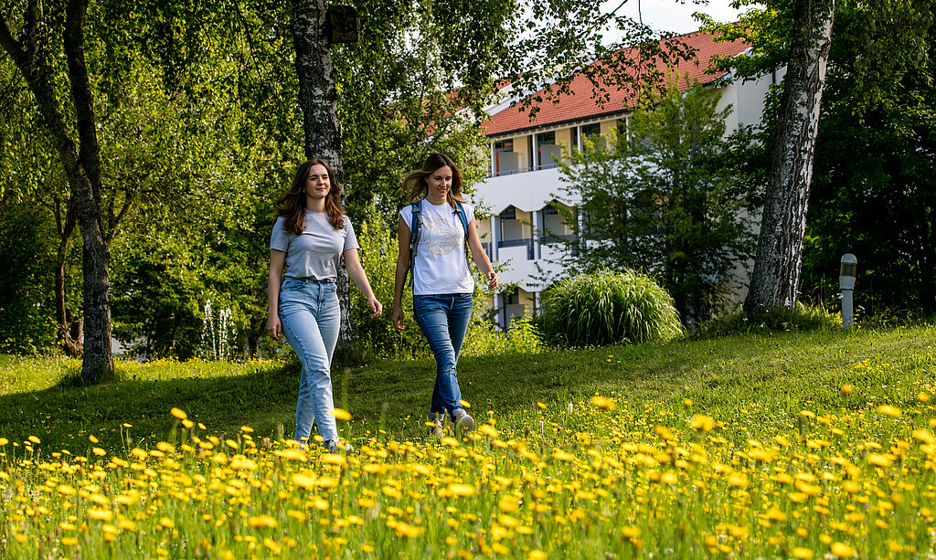 spaziergang auf der wiese