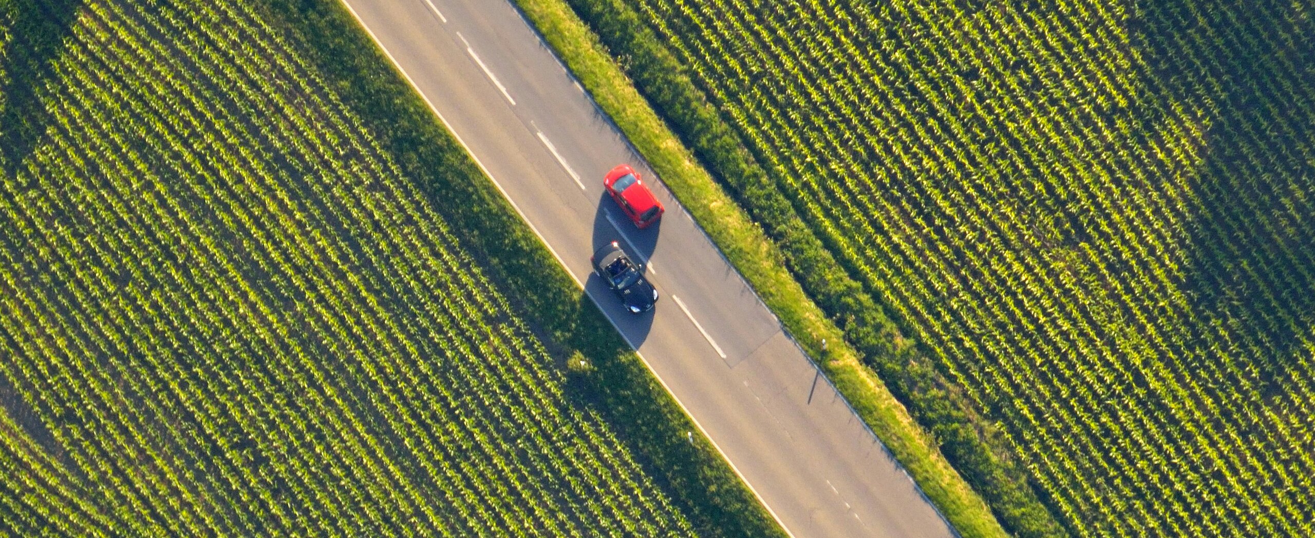 Luftaufnahme einer Landstraße mit zwei Autos, umgeben von grüner Landschaft.