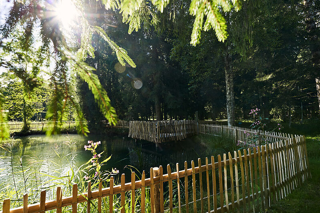 Der Parkwald mit Weiher am BWZ.