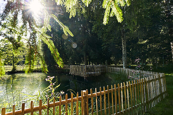 Der Parkwald mit Weiher am BWZ.
