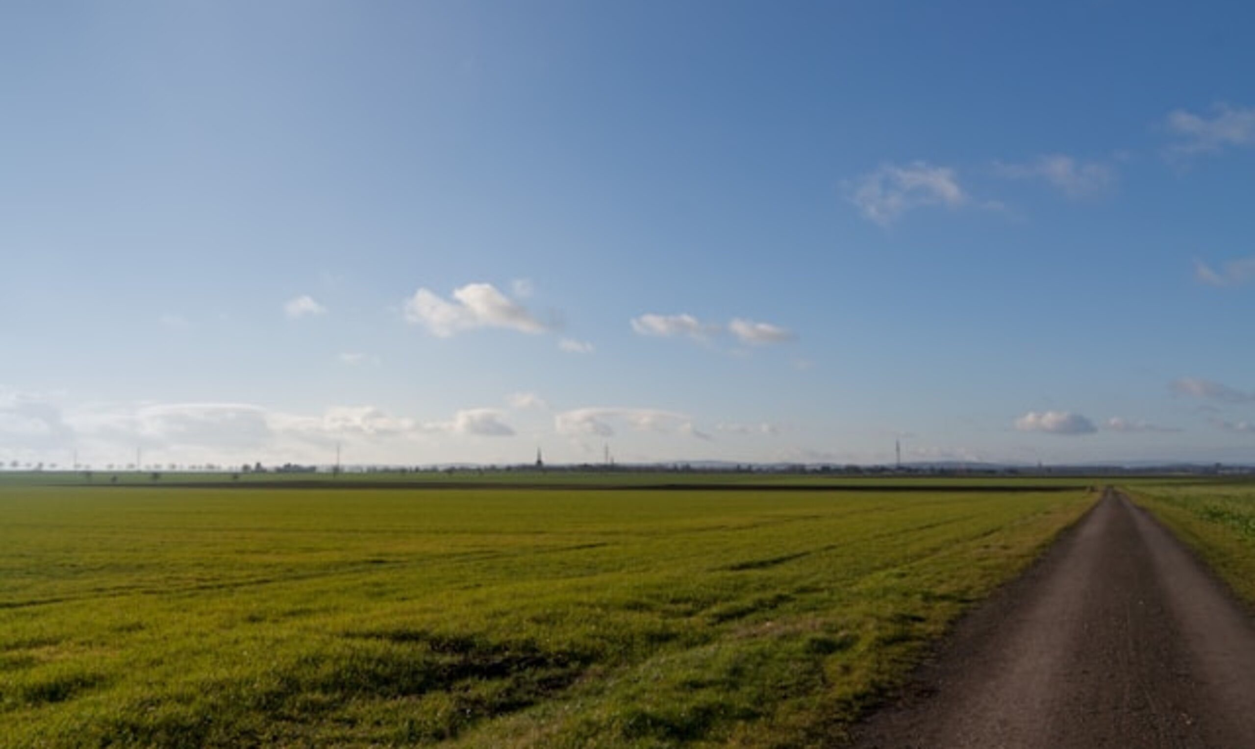 Natur Das Bild zeigt ein grünes Feld mit einem Feldweg bei blauem Himmel.