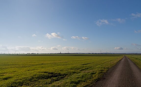 Natur Das Bild zeigt ein grünes Feld mit einem Feldweg bei blauem Himmel.