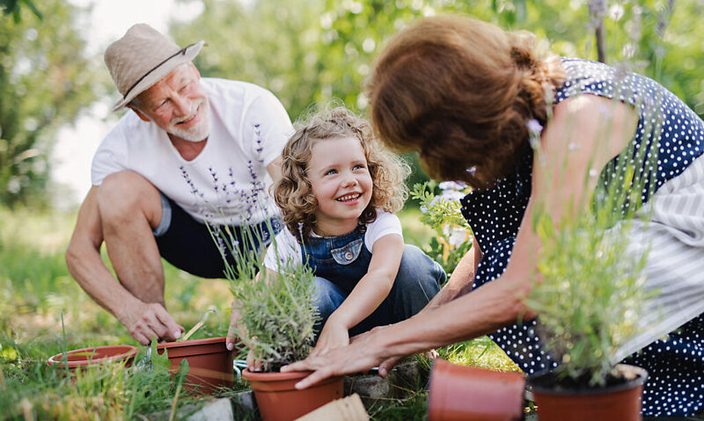 Großeltern pflanzen gemeinsam mit Enkelin etwas im Garten ein.