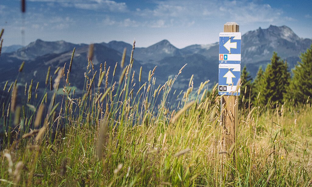 Ein Wanderweg in den Bergen mit hohem Gras im Vordergrund und einem Wegweiser mit Richtungspfeilen