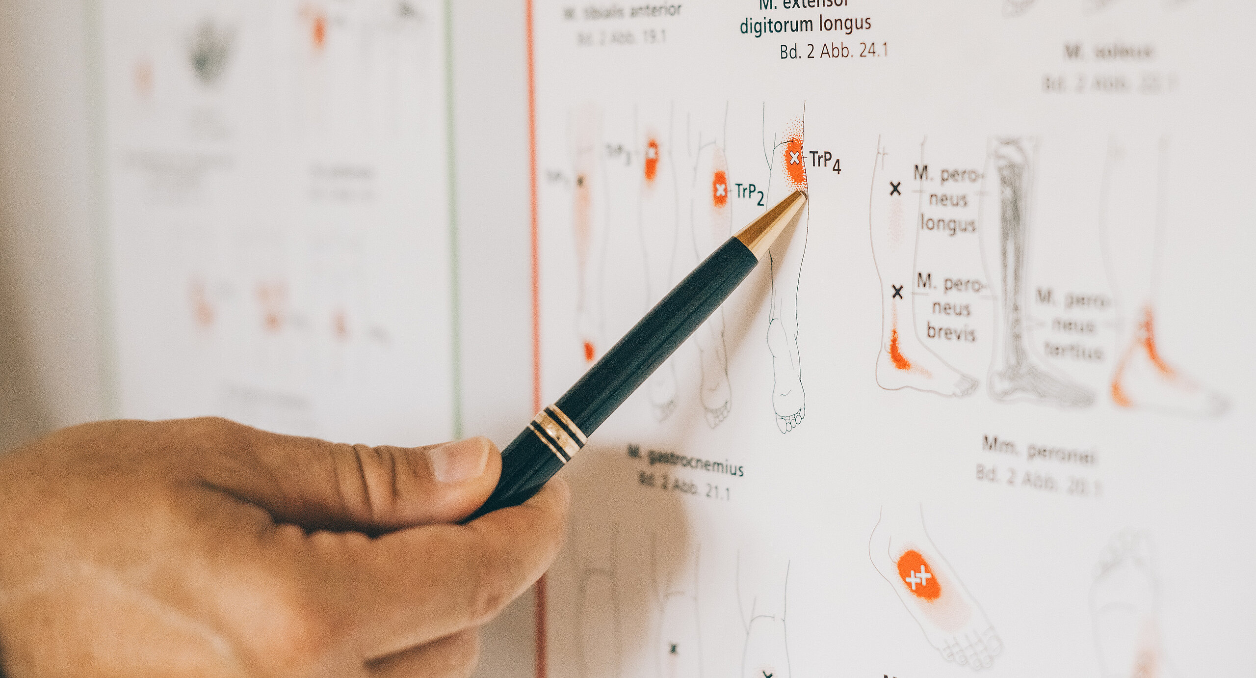 Hand zeigt mit einem Stift auf eine medizinische Infografik mit Schmerztherapie-Informationen
