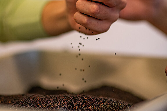 Eine Hand greift in eine ergonomische Sandbox.
