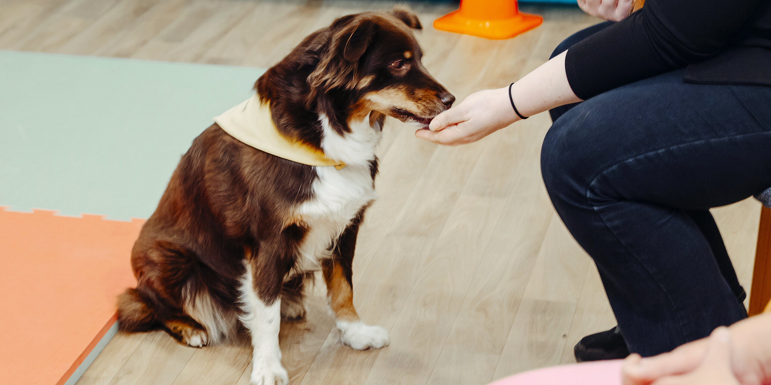 Therapiehund in einer Gruppe mit Patienten.