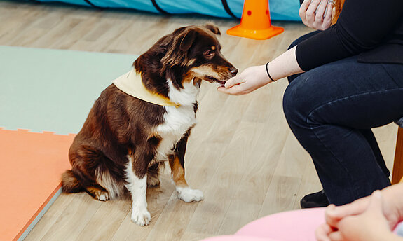 Therapiehund in einer Gruppe mit Patienten.