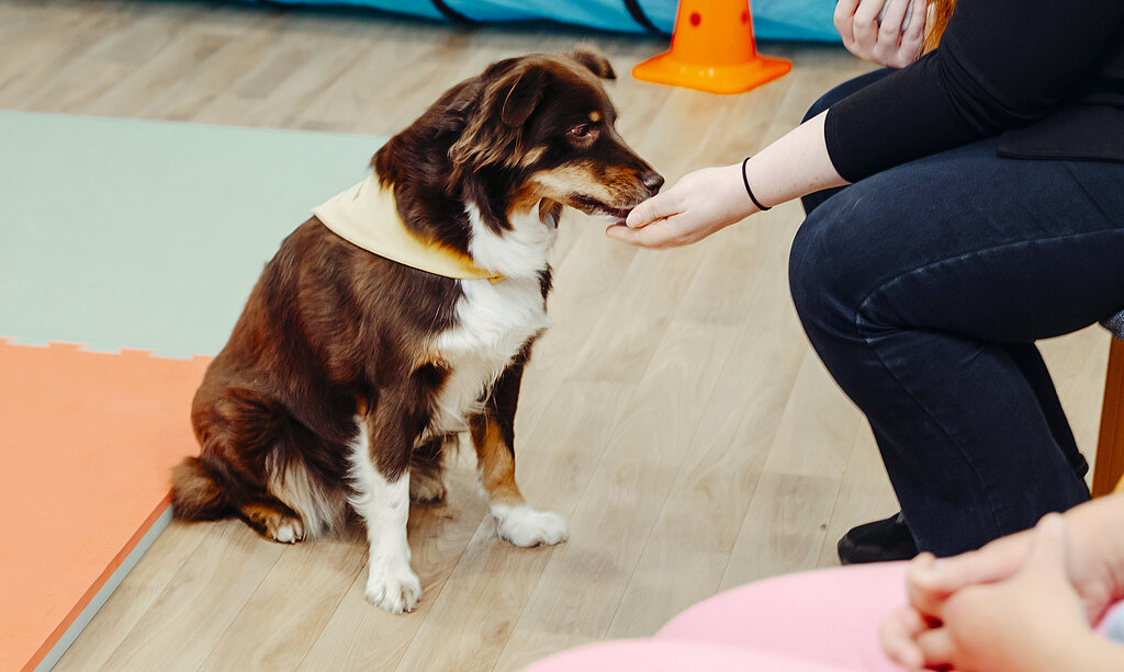 Therapiehund in einer Gruppe mit Patienten.