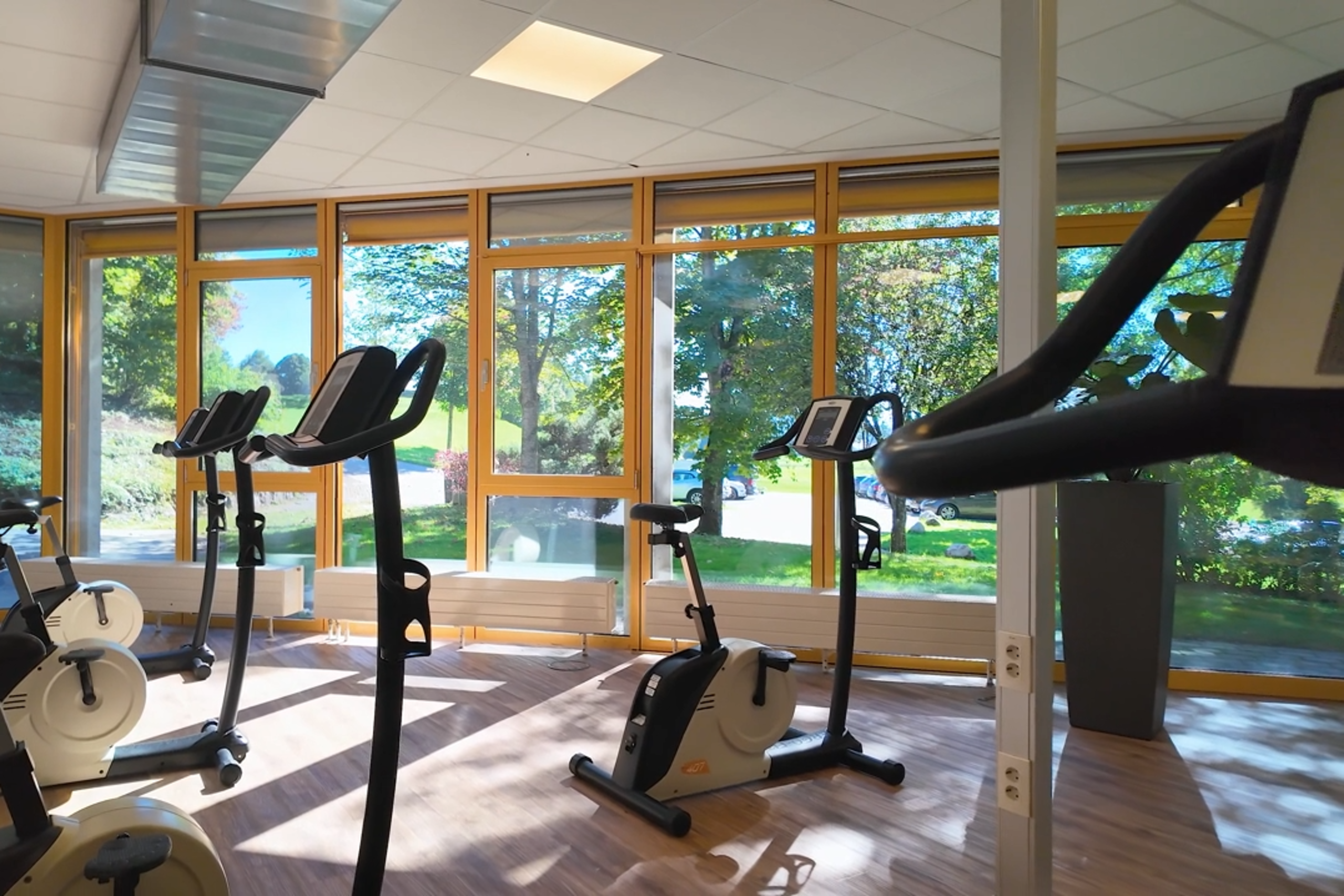 Trainingsraum mit Fahrradergometern mit Blick ins Grüne.