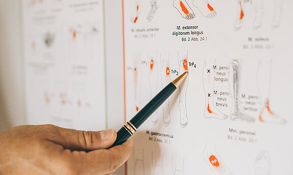Jemand zeigt mit einem Stift auf ein Plakat mit Triggerpunkten.