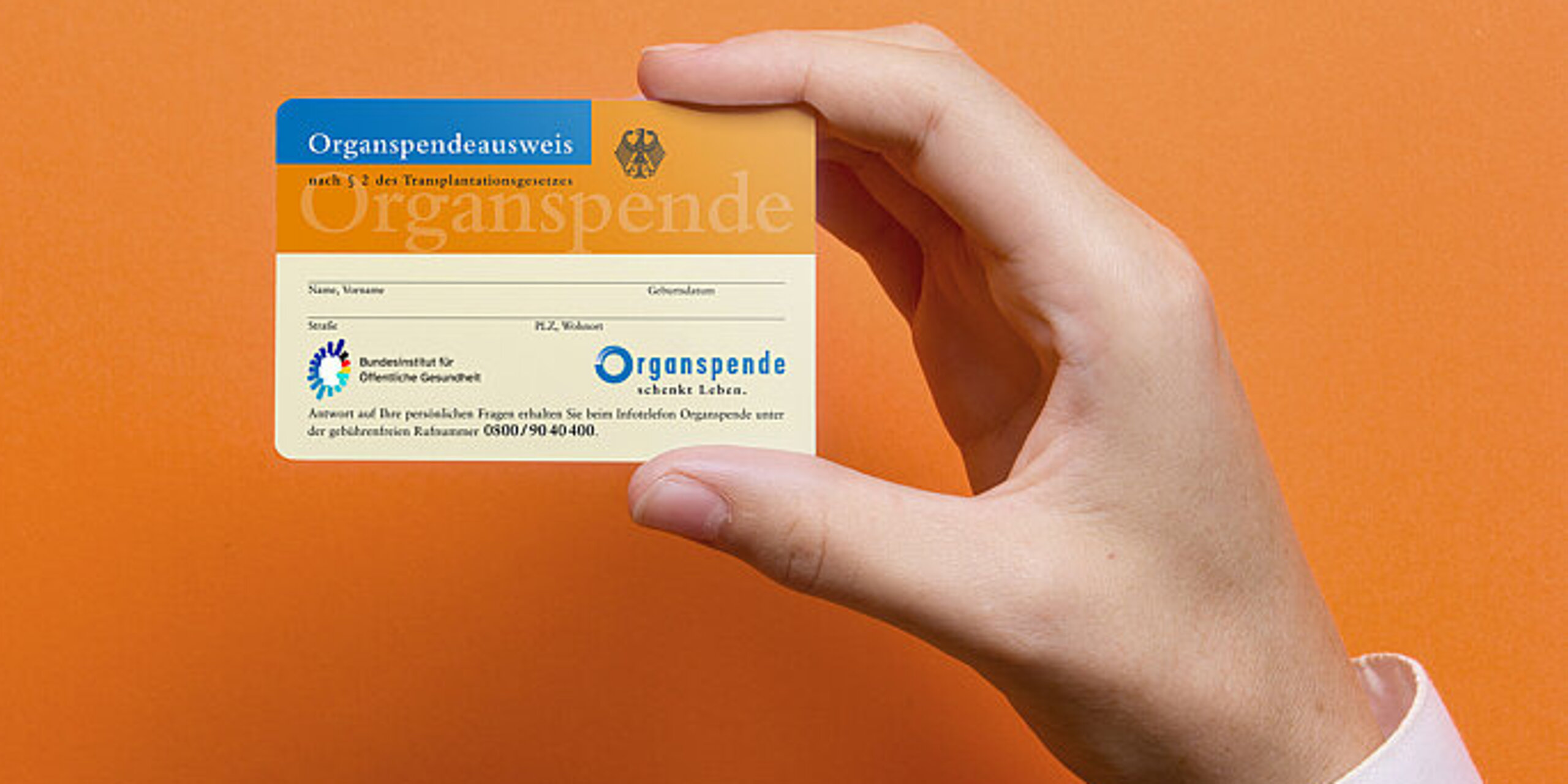 Ein Organspendeausweis wird in der Hand gehalten.