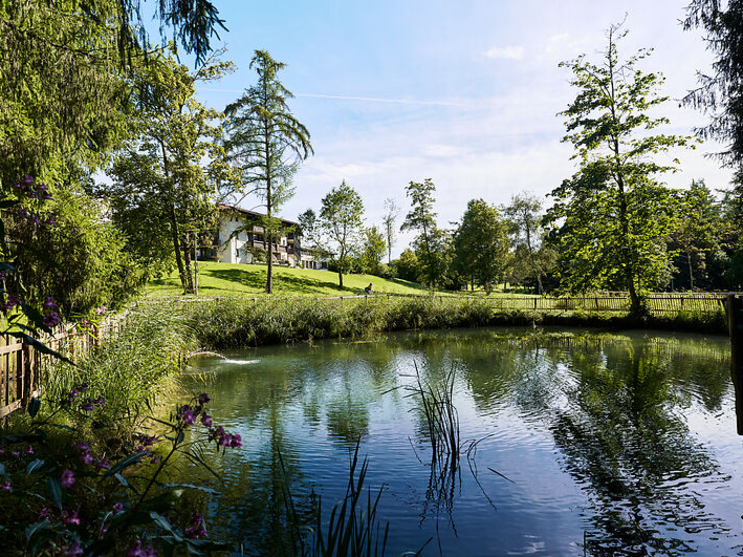 Teich im Kurpark beim BWZ.