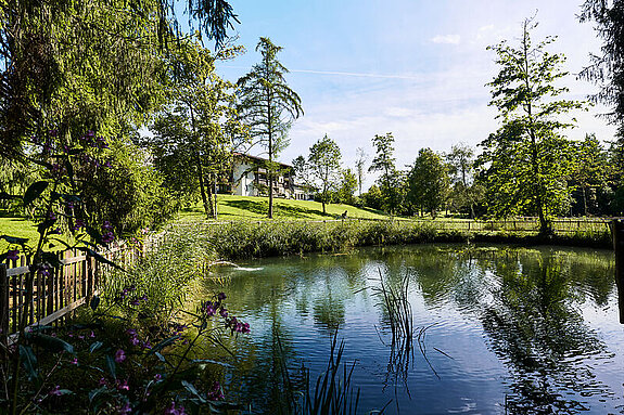 Teich im Kurpark beim BWZ.